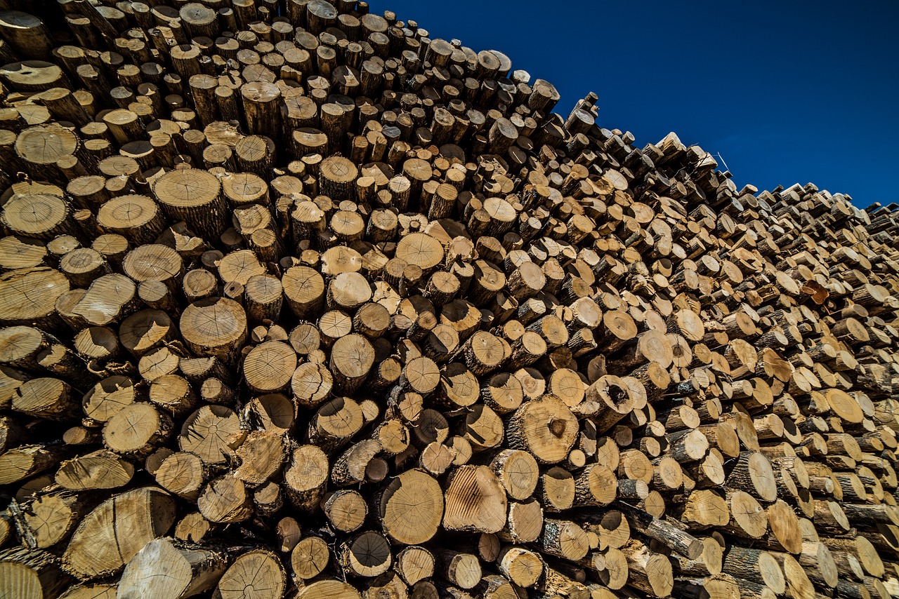 logs wood timber free photo