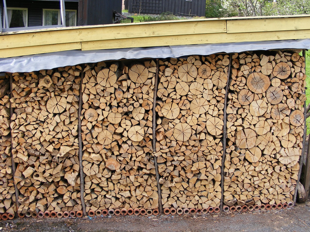 logs firewood firewood rack free photo