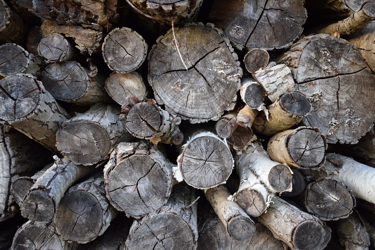 logs  wood  timber free photo