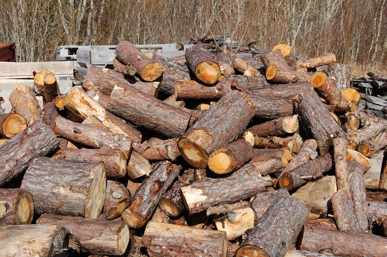 logs  wood  firewood free photo