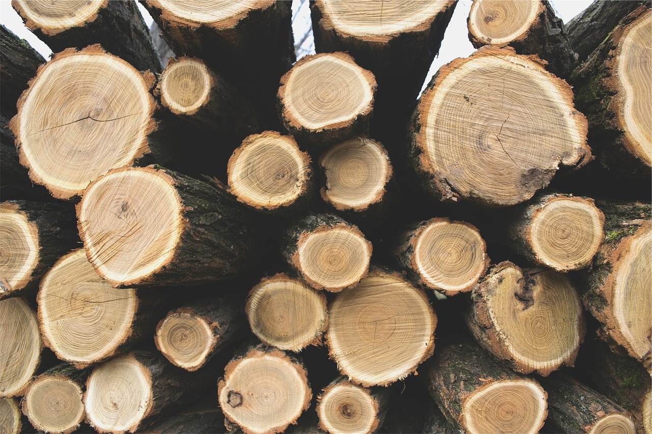 logs timber lumber free photo