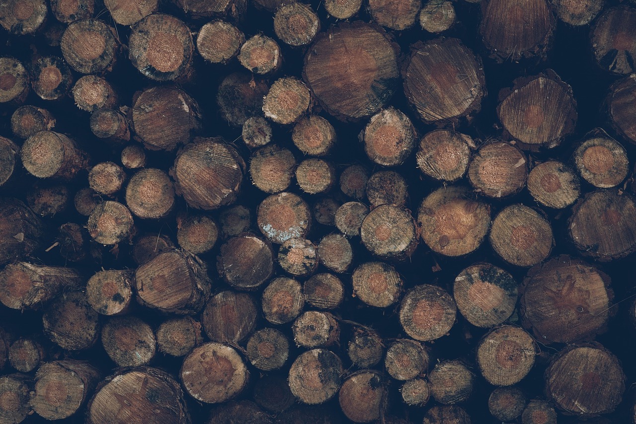 logs timber wood free photo