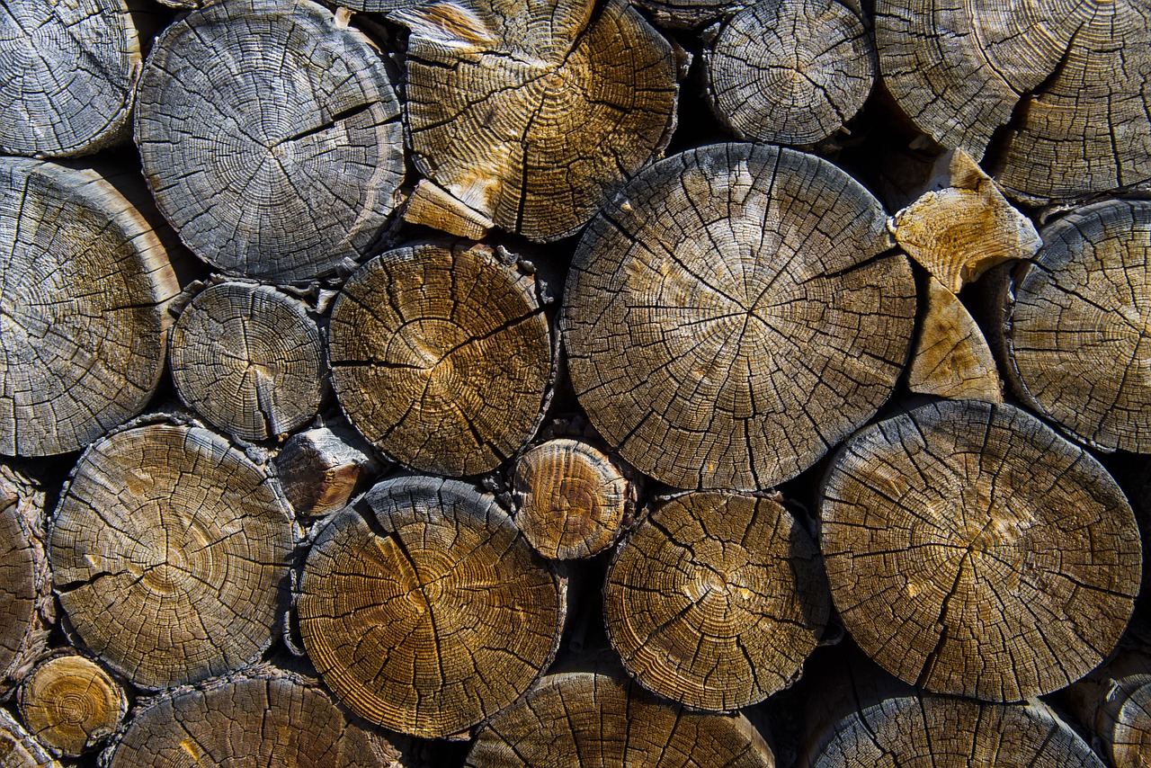 logs lumber timber free photo