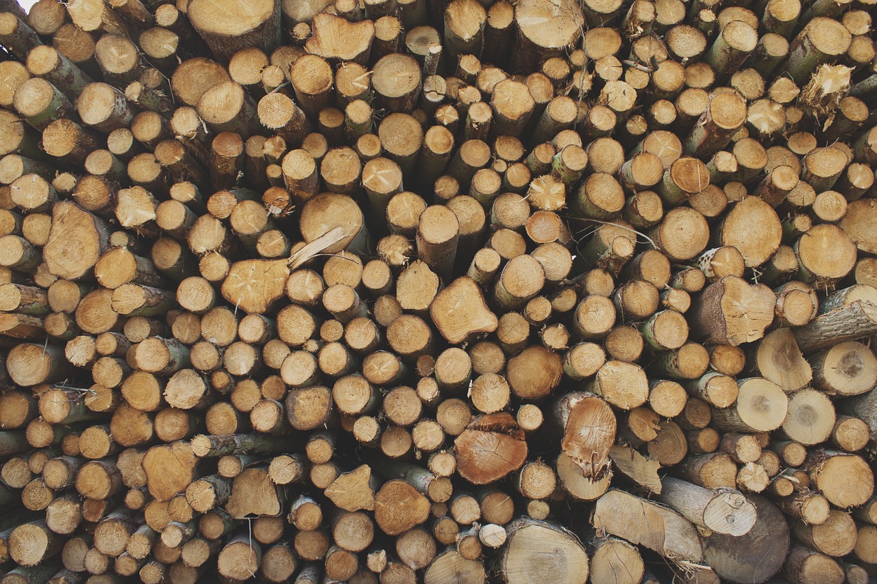 logs lumber wood free photo