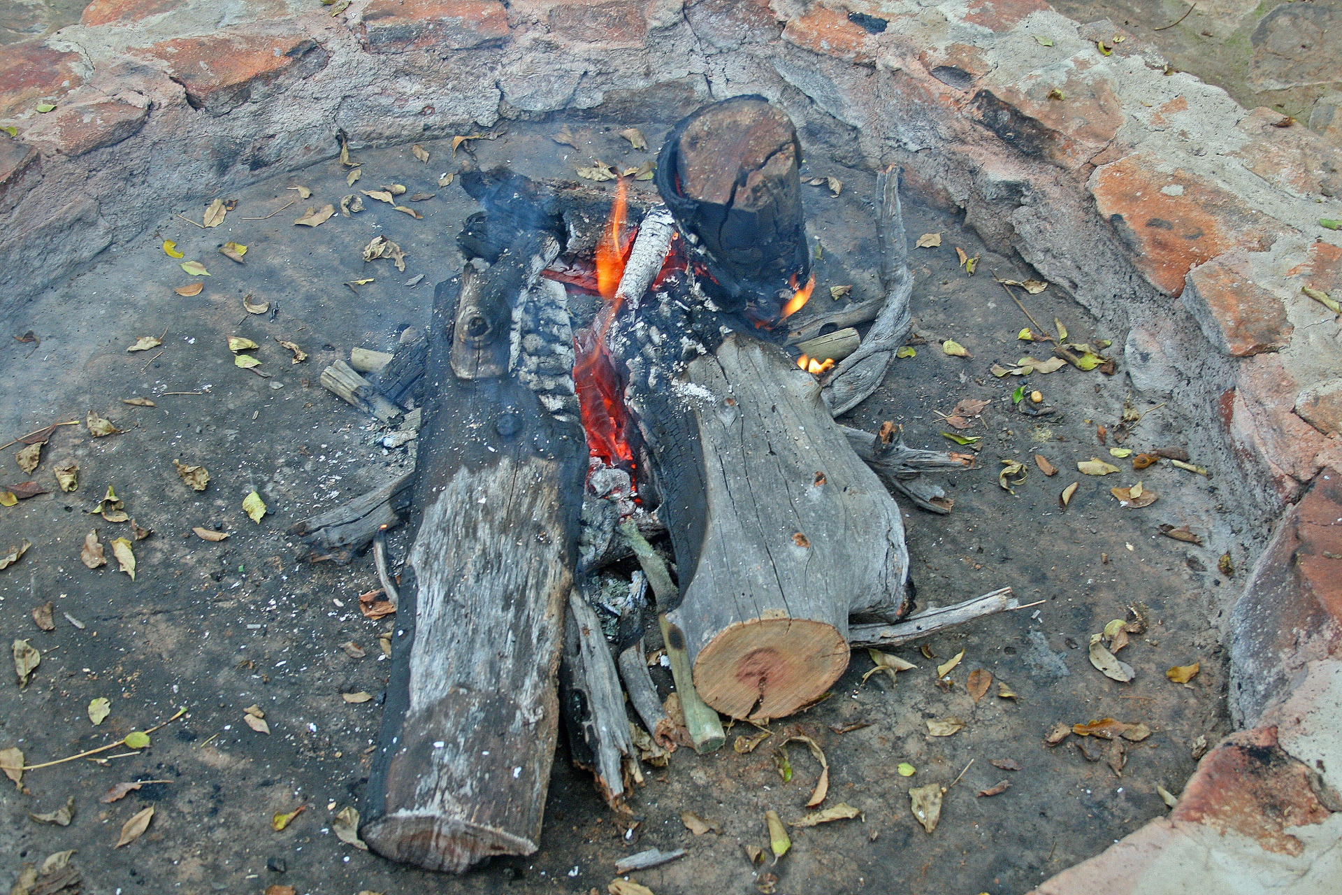 fire wood logs free photo