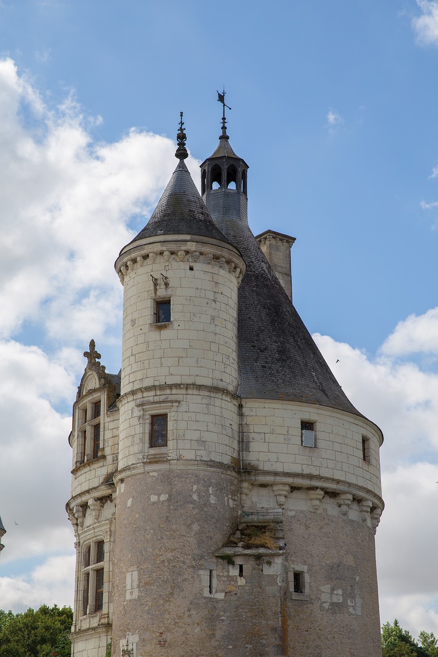 loire castle renaissance free photo