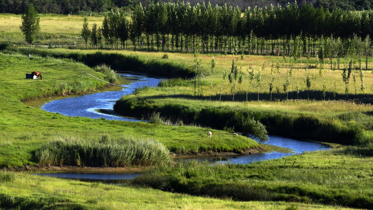 lombard lake prairie free photo