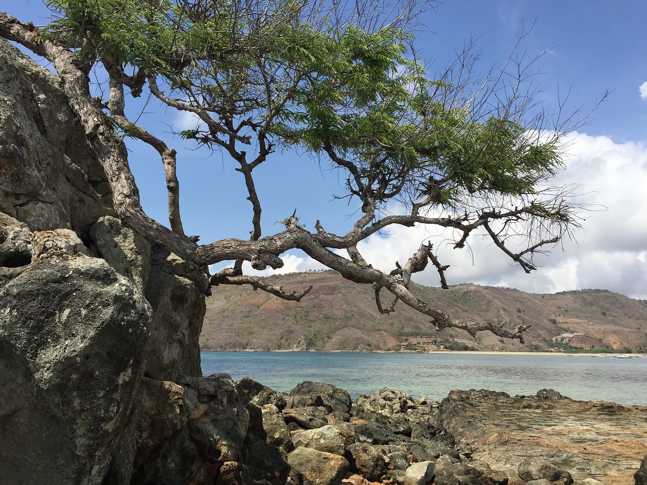 lombok beach indonesia free photo