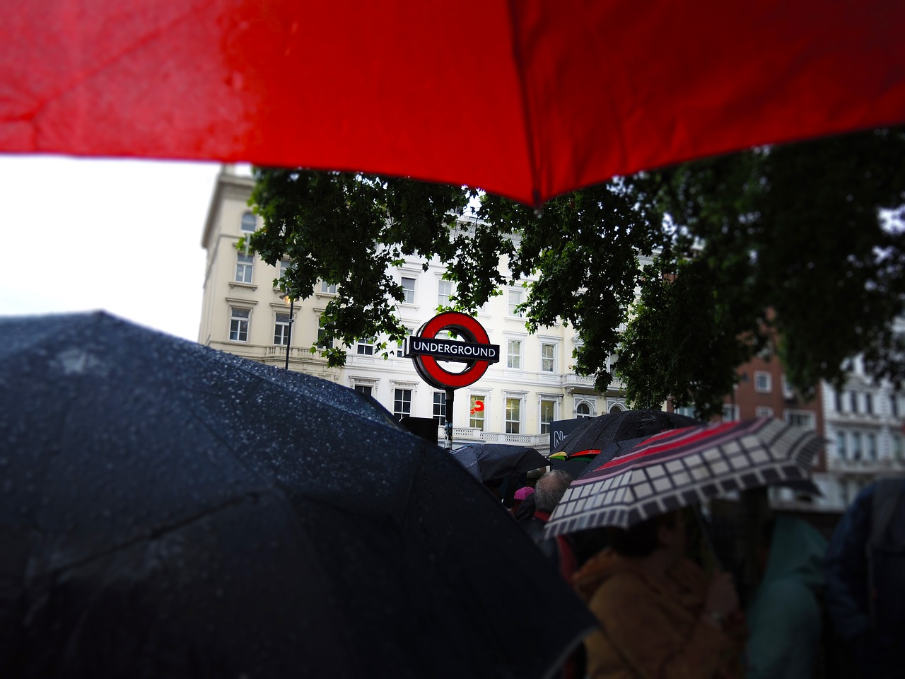 london rain umbrellas free photo