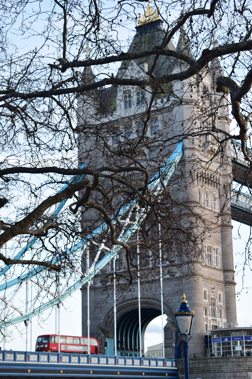 london  tower bridge  bus free photo
