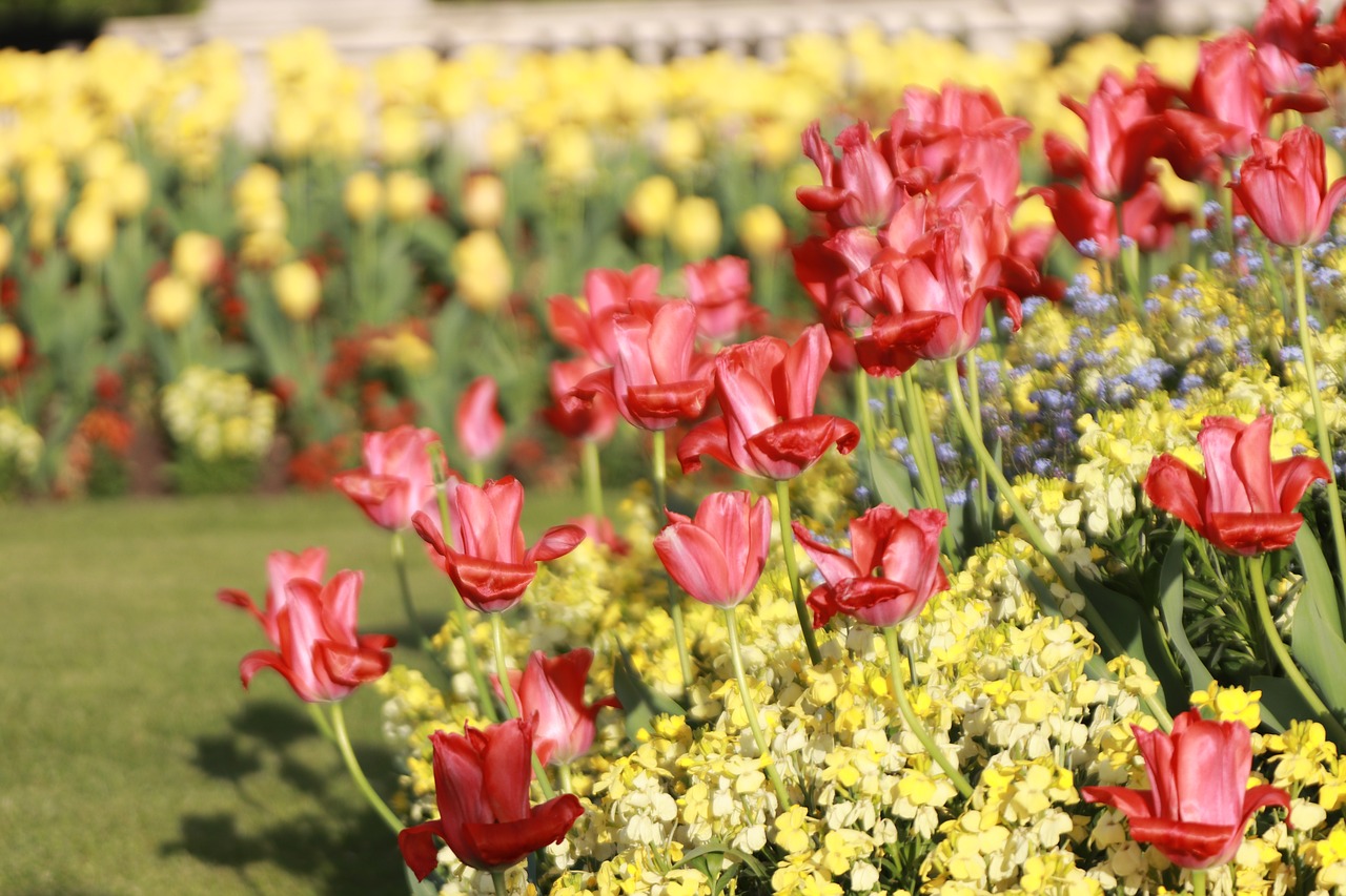 london  flower bed  england free photo