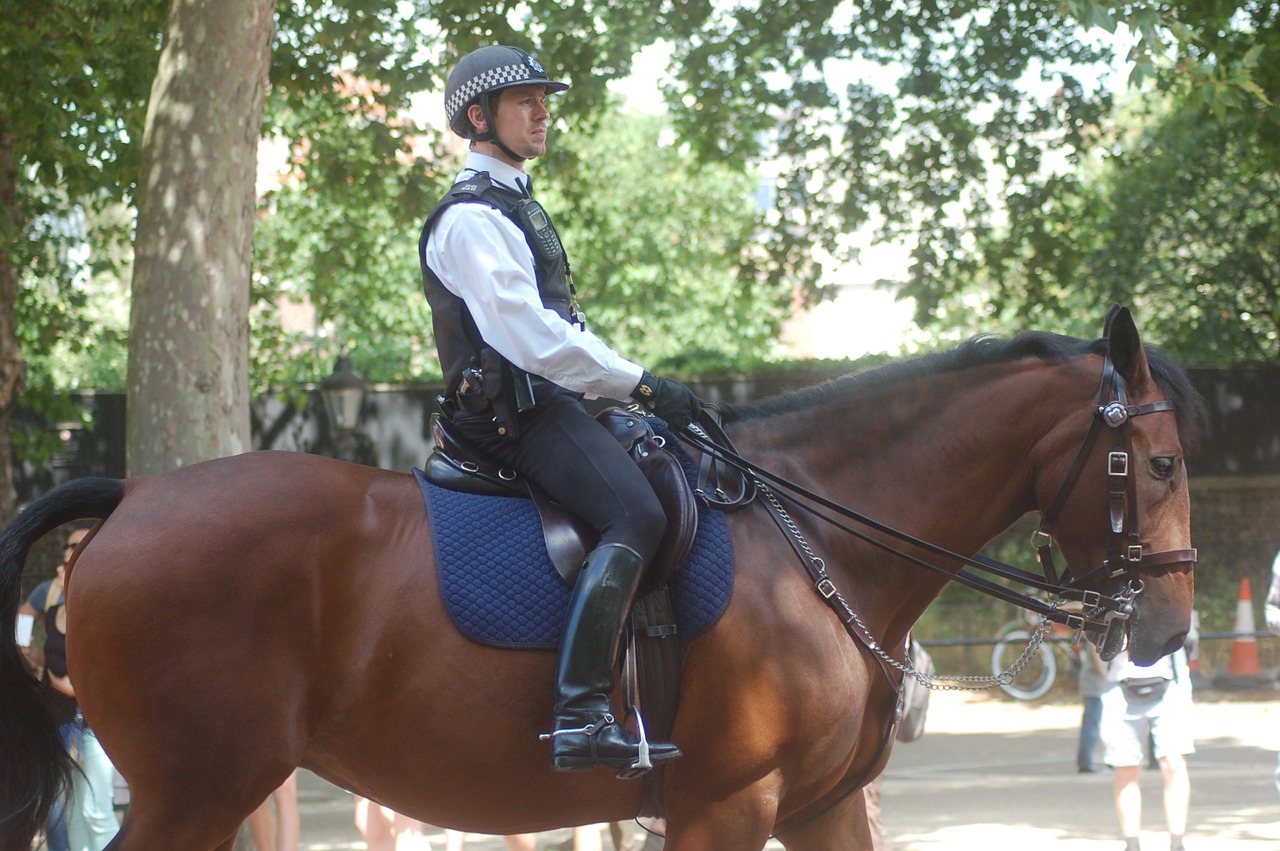 policeman the horse london free photo