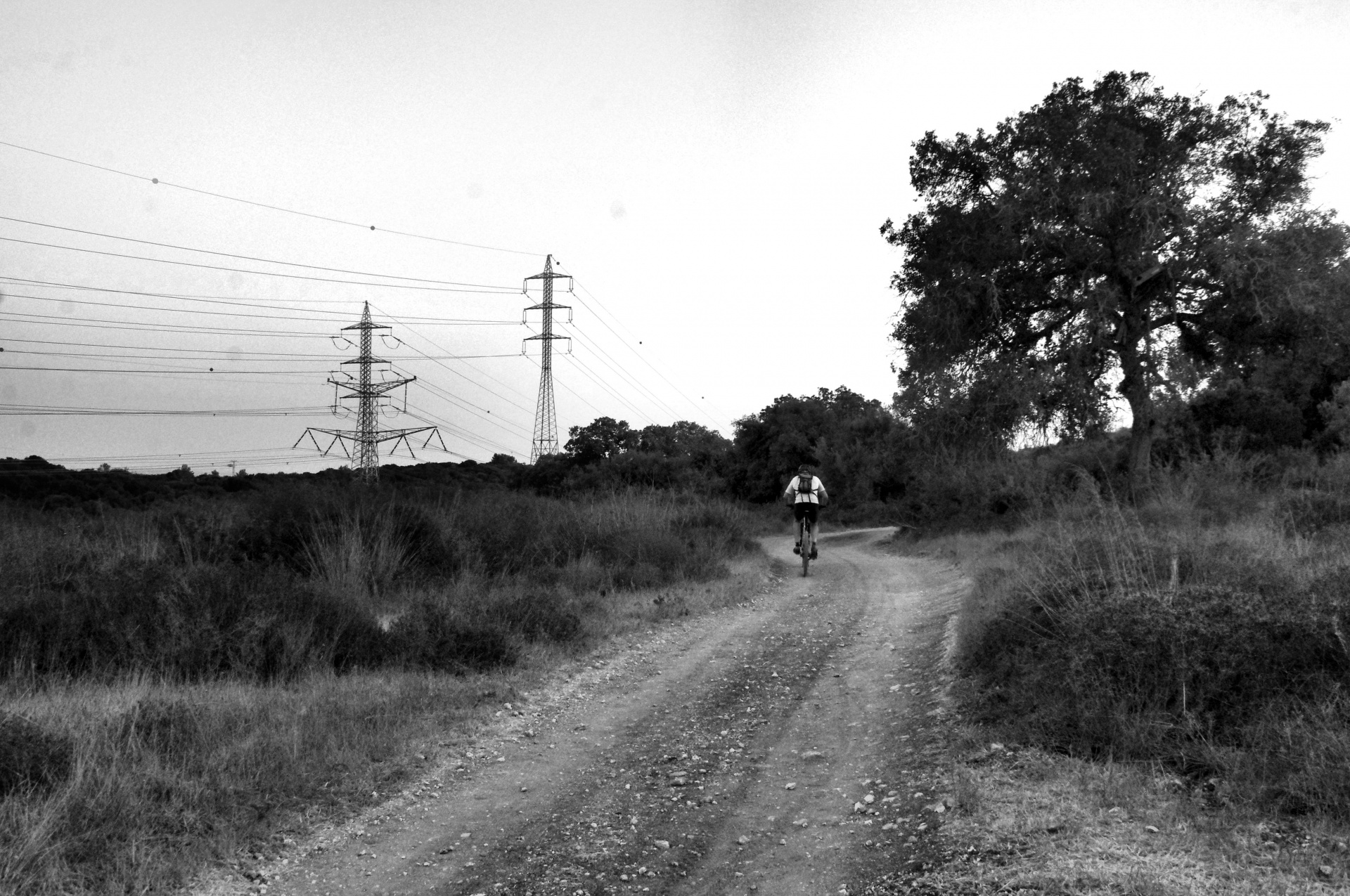lone cyclist sport free photo