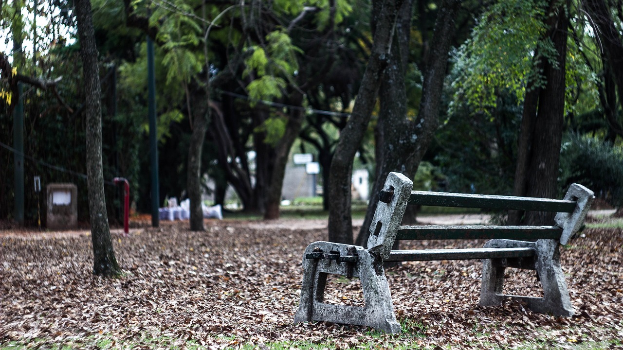 lonely bench lea free photo