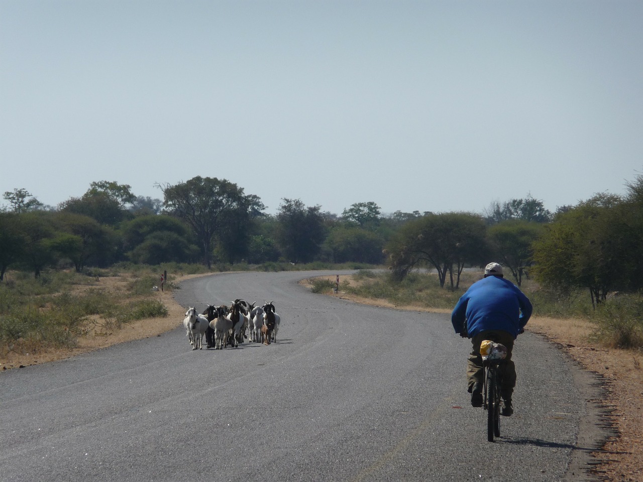 lonely africa cyclist free photo
