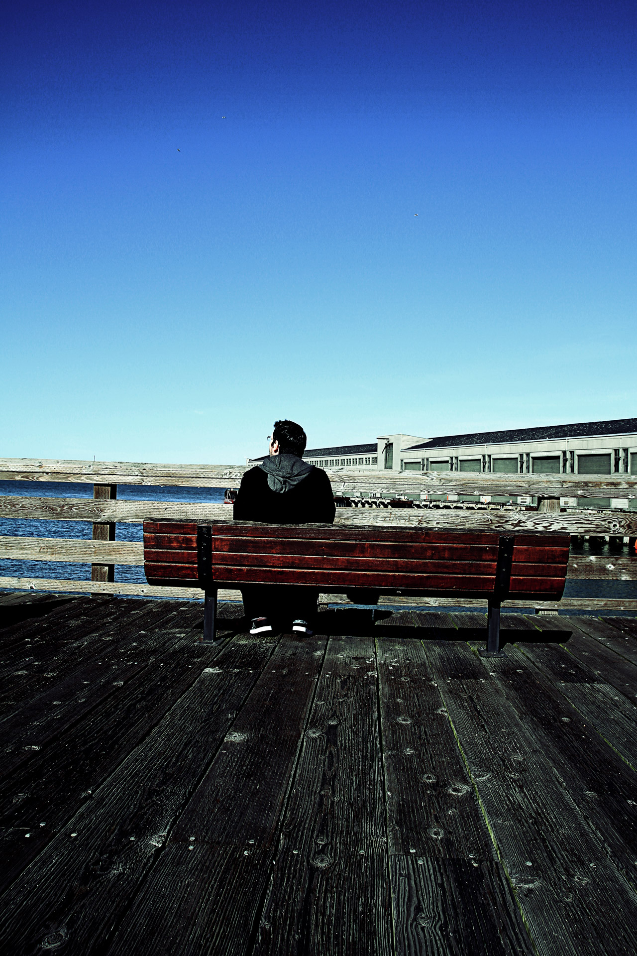 lonely man depressed man bench pier free photo