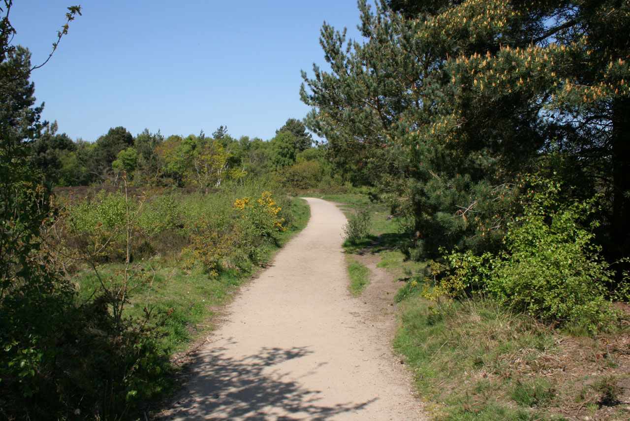 pathway empty lonely free photo