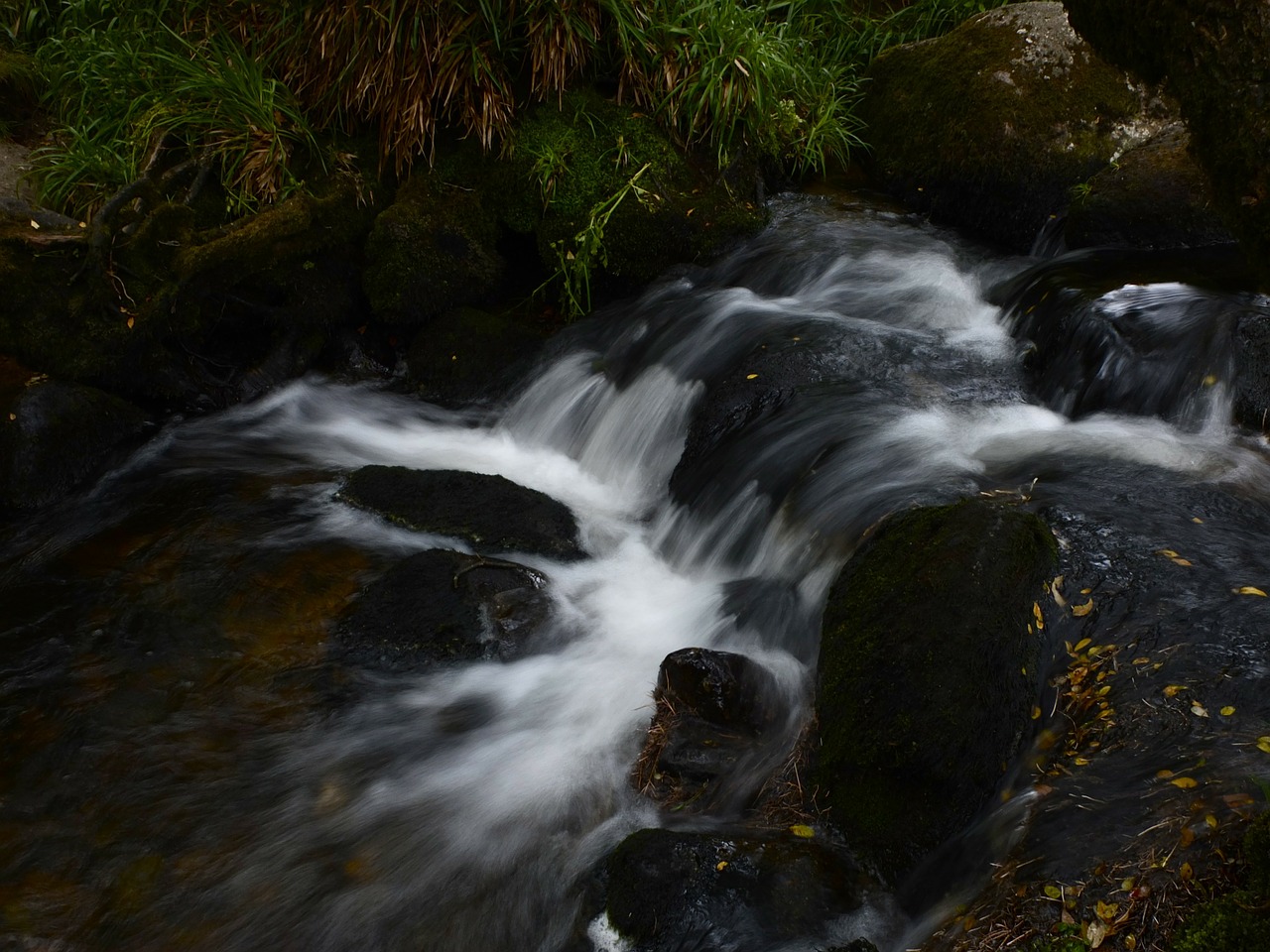long exposure time water bach free photo