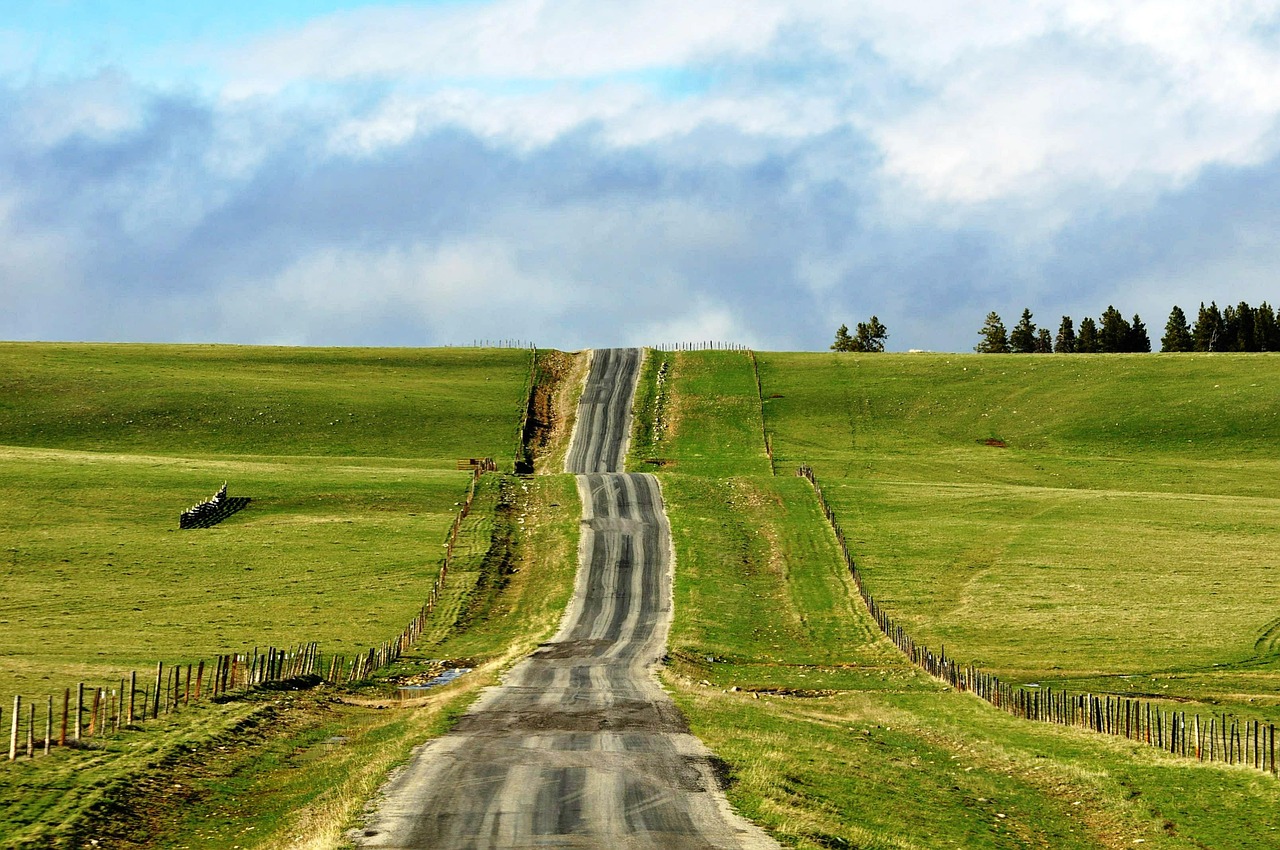 long road nature road free photo