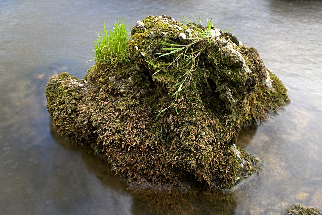 long time exposure river stone free photo