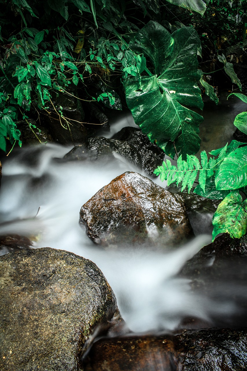 longexposure nature water free photo