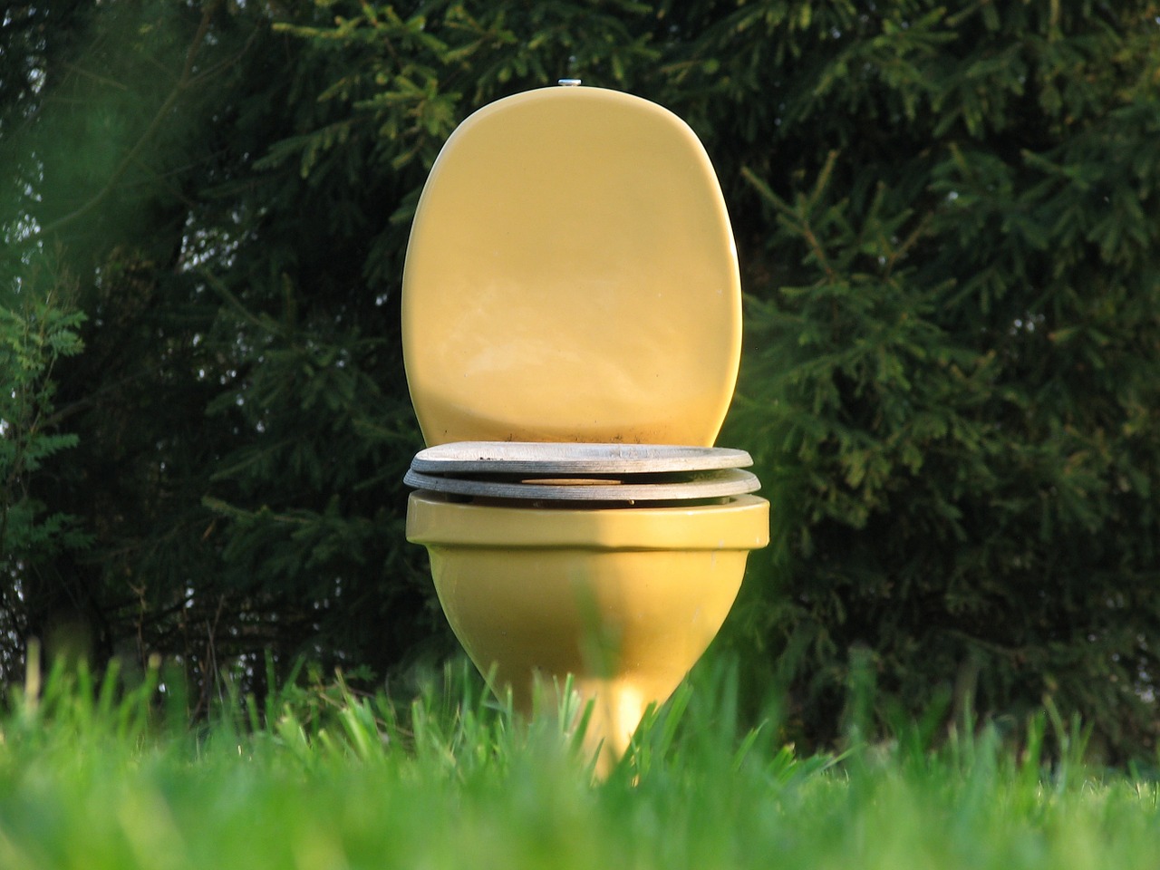 loo meadow outdoor toilet free photo