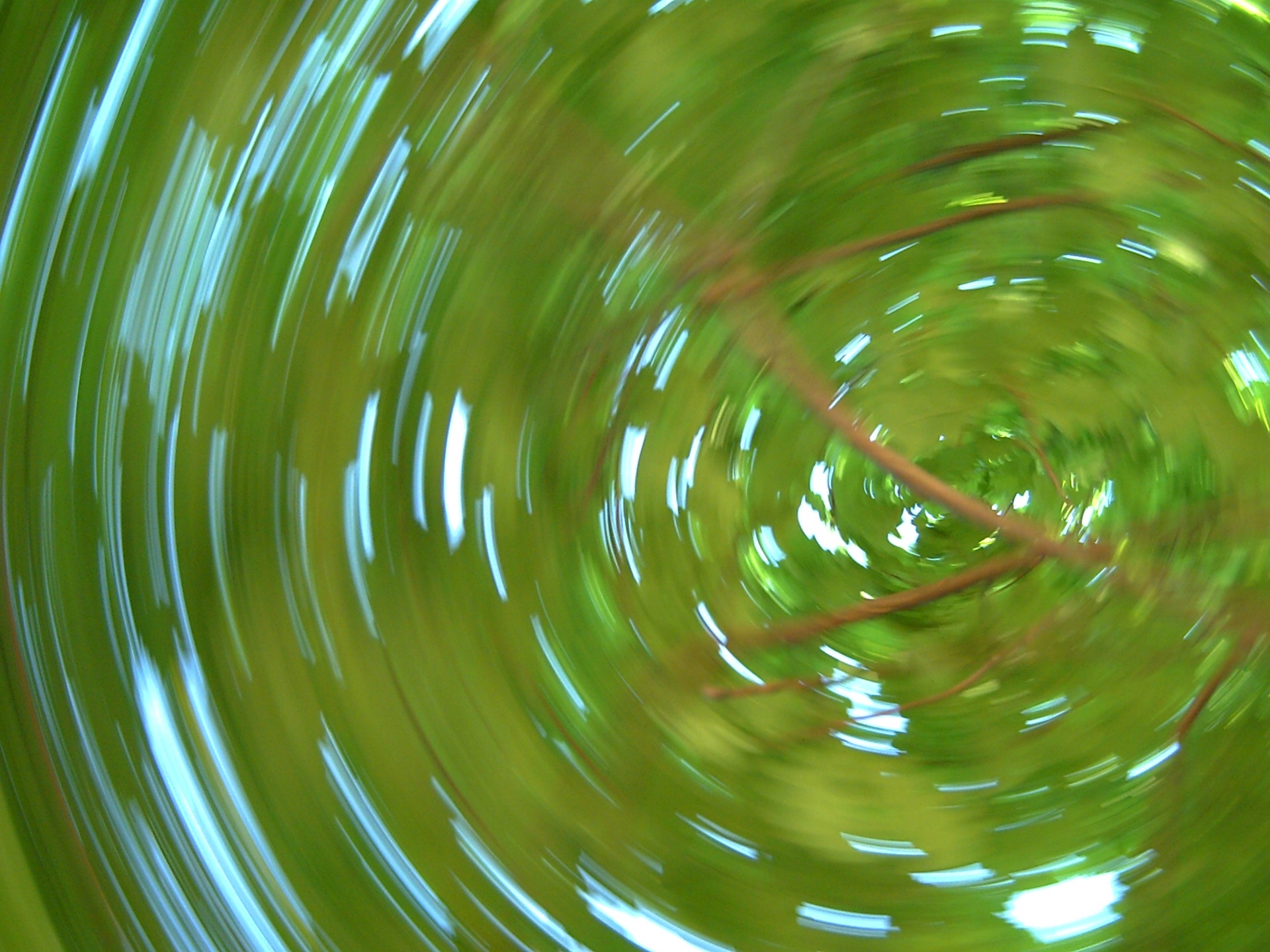 tree turn around blur free photo