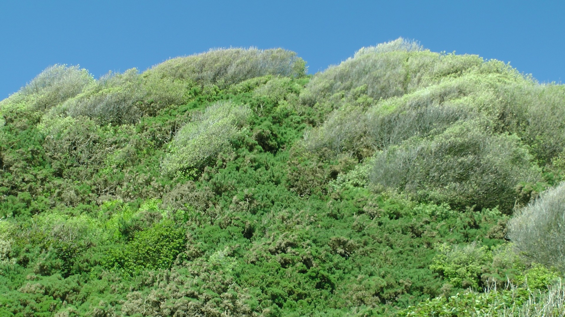 cliff cliffs cliff tops free photo