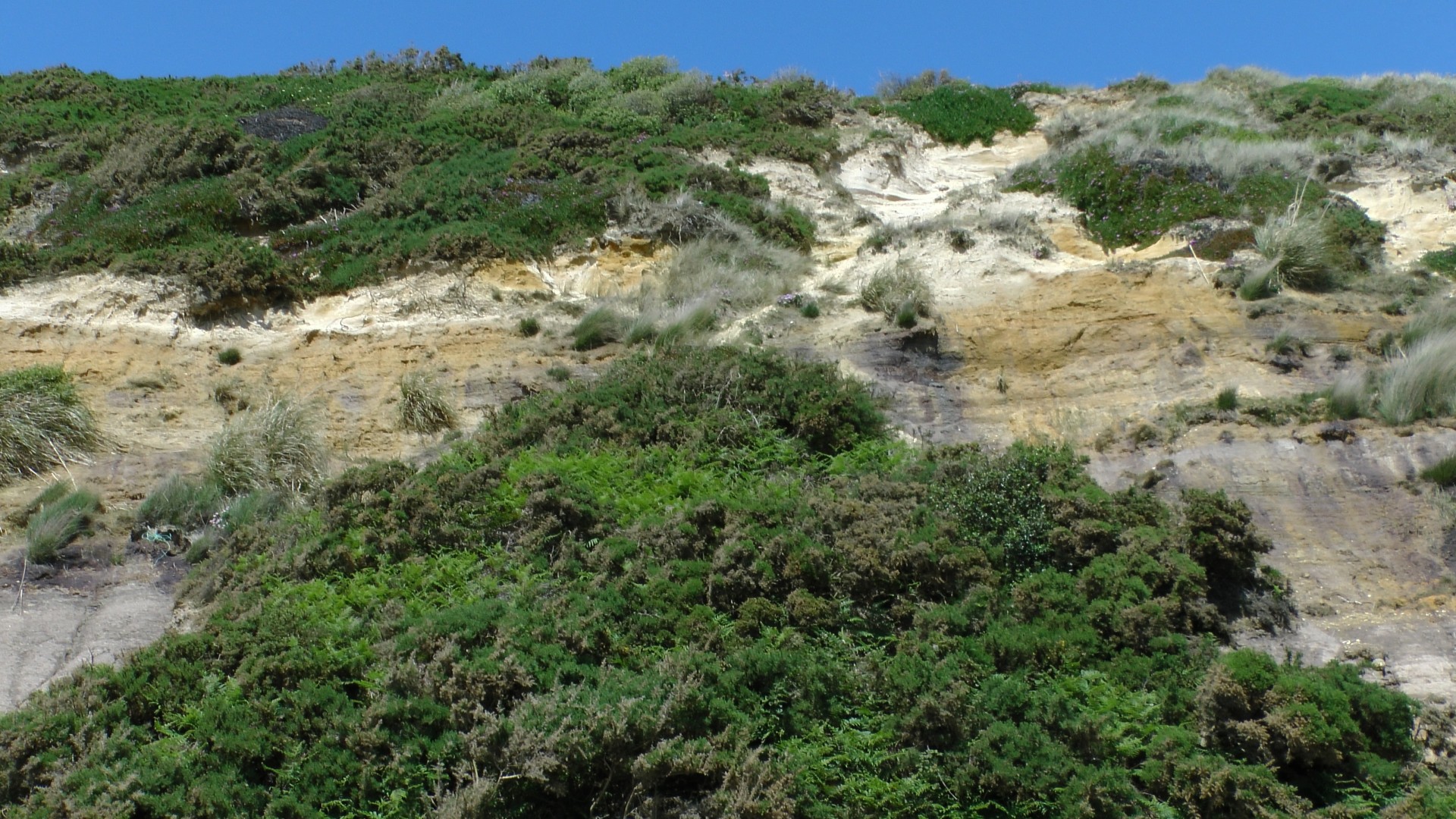 cliff cliffs cliff tops free photo