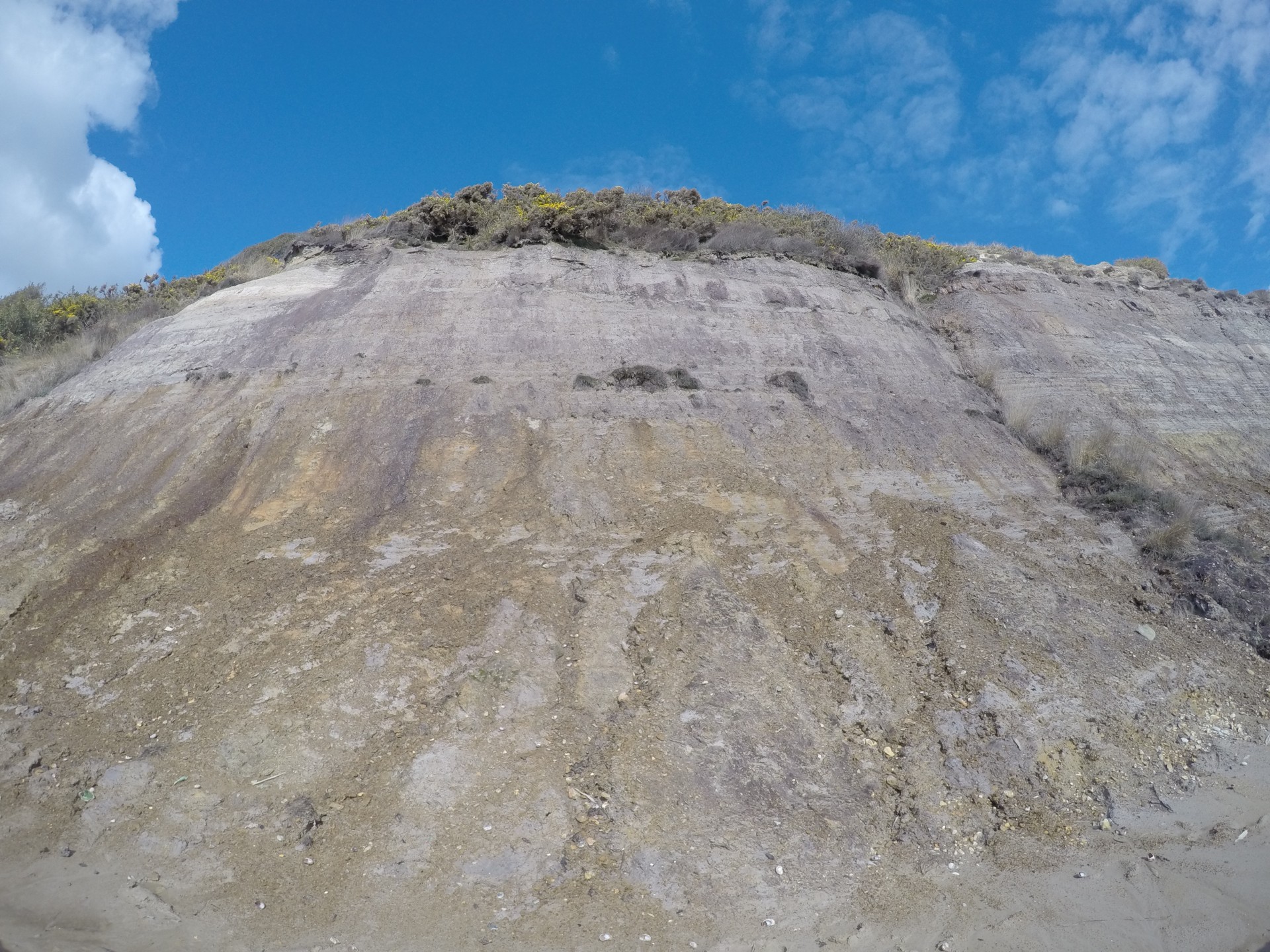 looking up cliff face cliff cliffs free photo