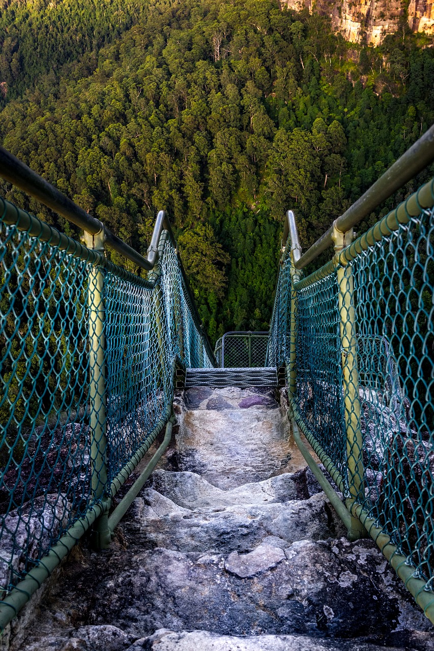 lookout perspective nature free photo