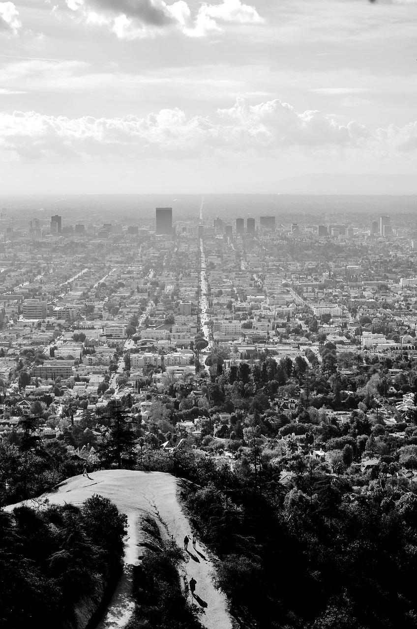 lookout view trail free photo