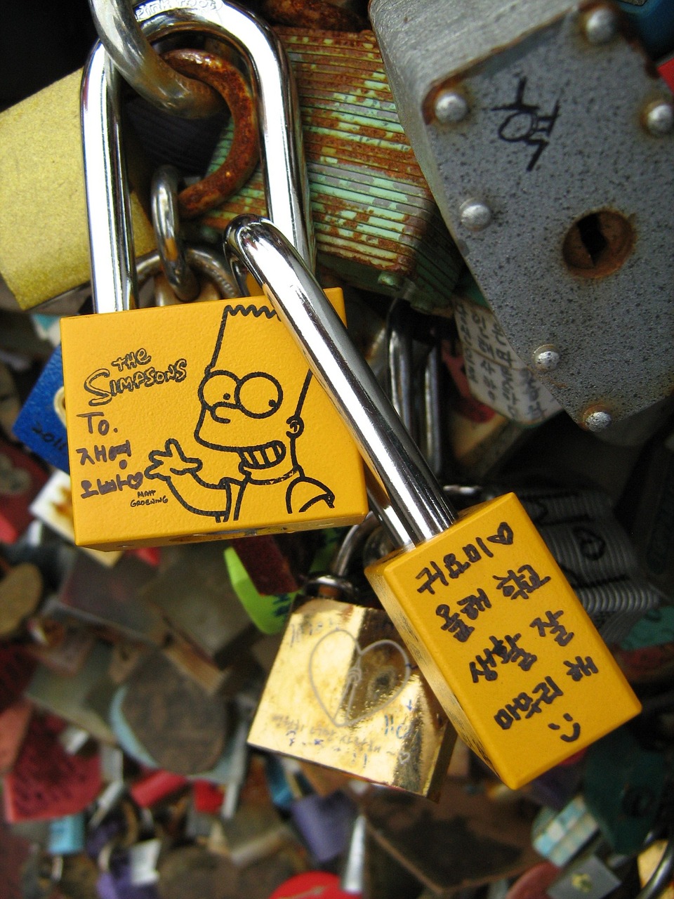 loop lock korean tour in korea free photo