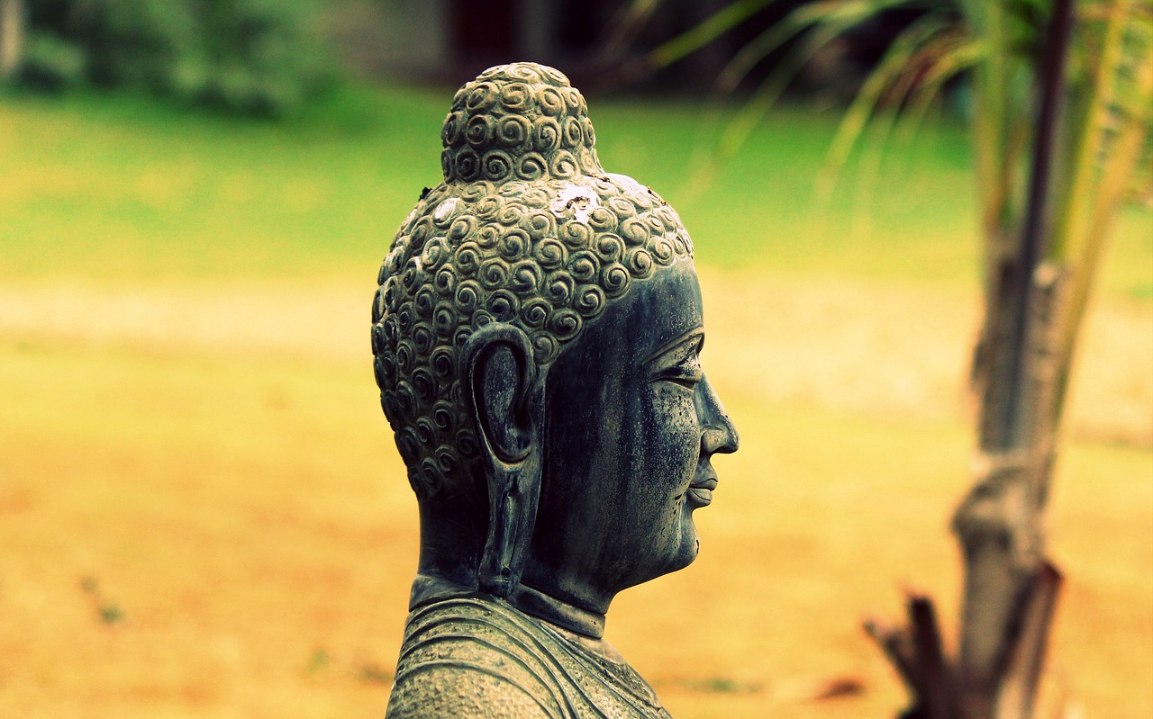 lord buddha garden religion free photo