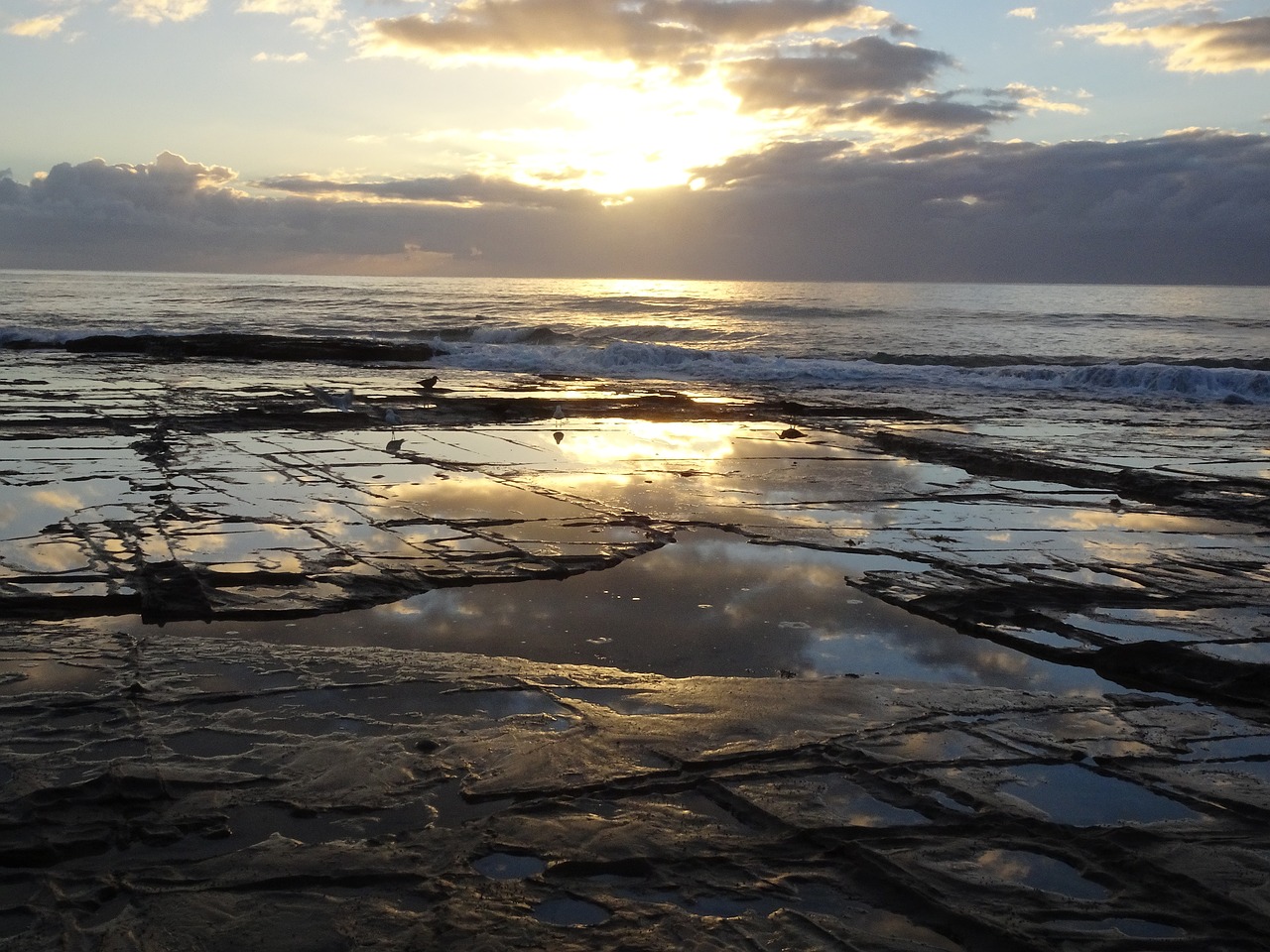 lorne beach sunrise free photo