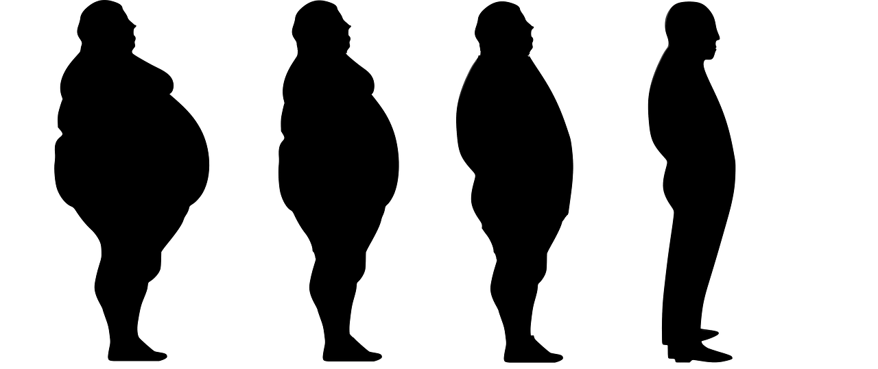 lose weight fat slim free photo