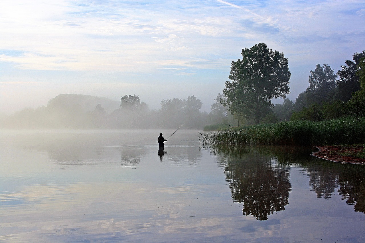 losheimer reservoir badesee angler free photo