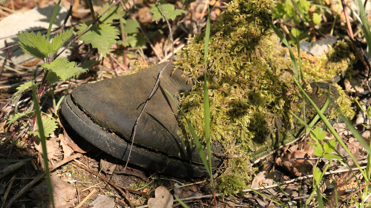 weathered decay shoes free photo