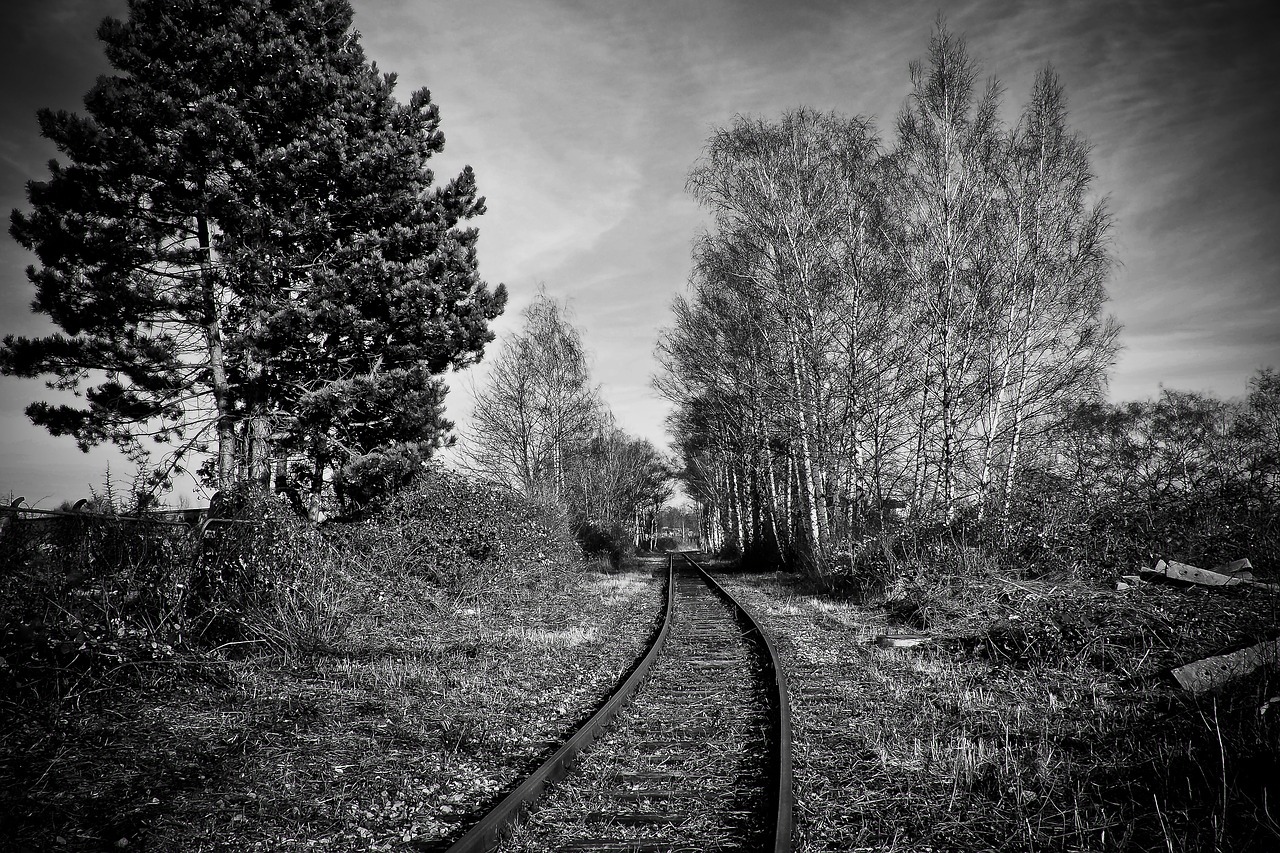 lost places gleise railway tracks free photo