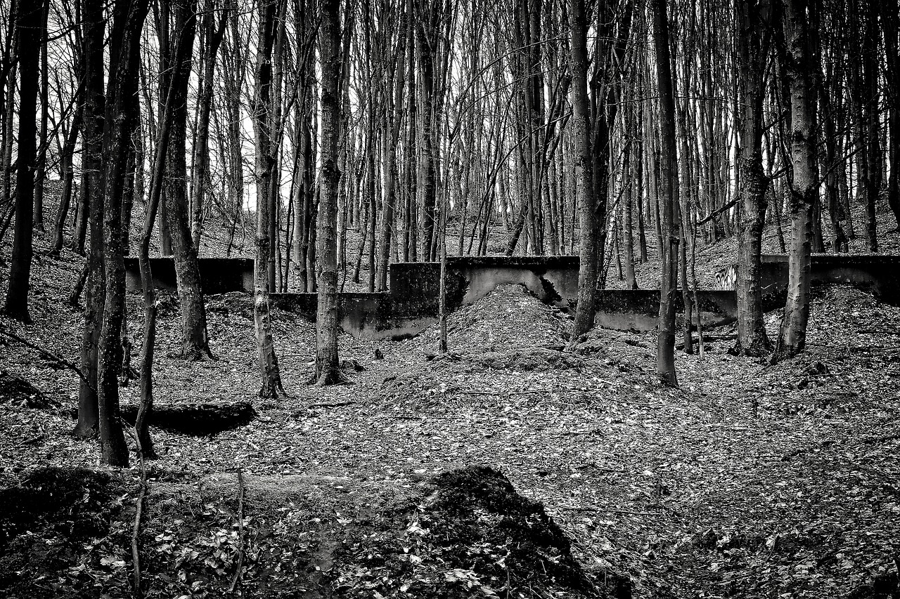 lost places bunker war free photo