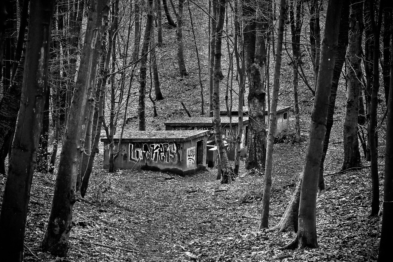 lost places bunker war free photo