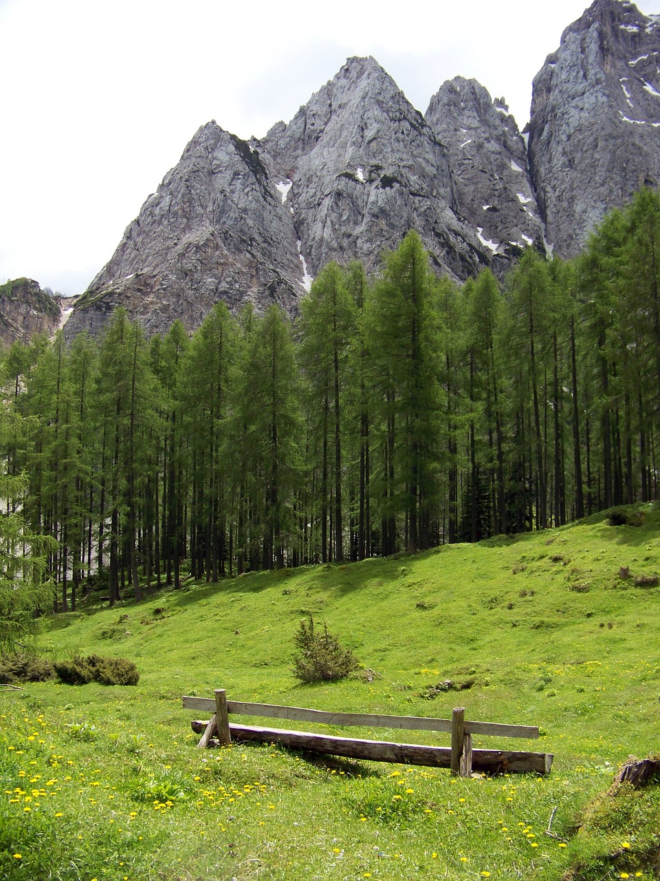 lost places wooden bench alpine hiking free photo