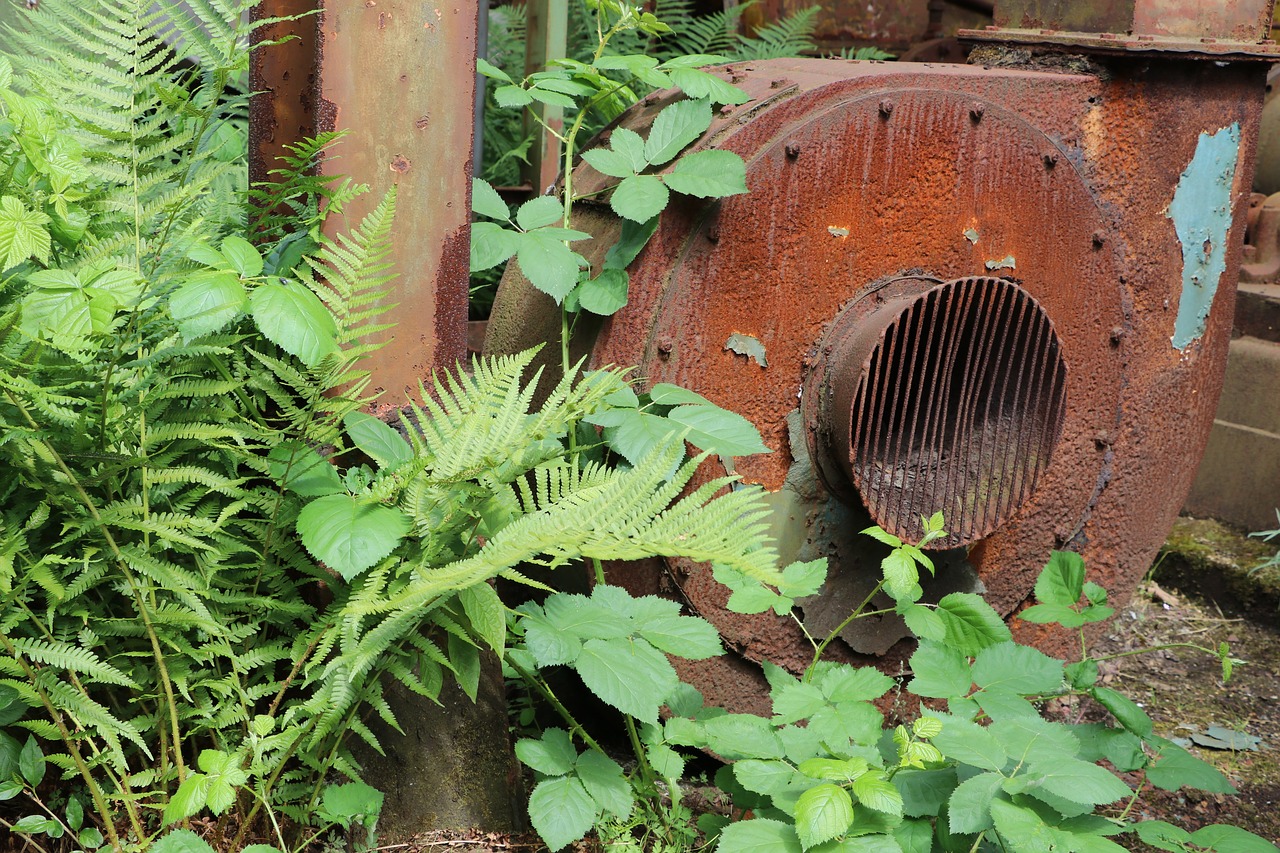 lost places duisburg old free photo