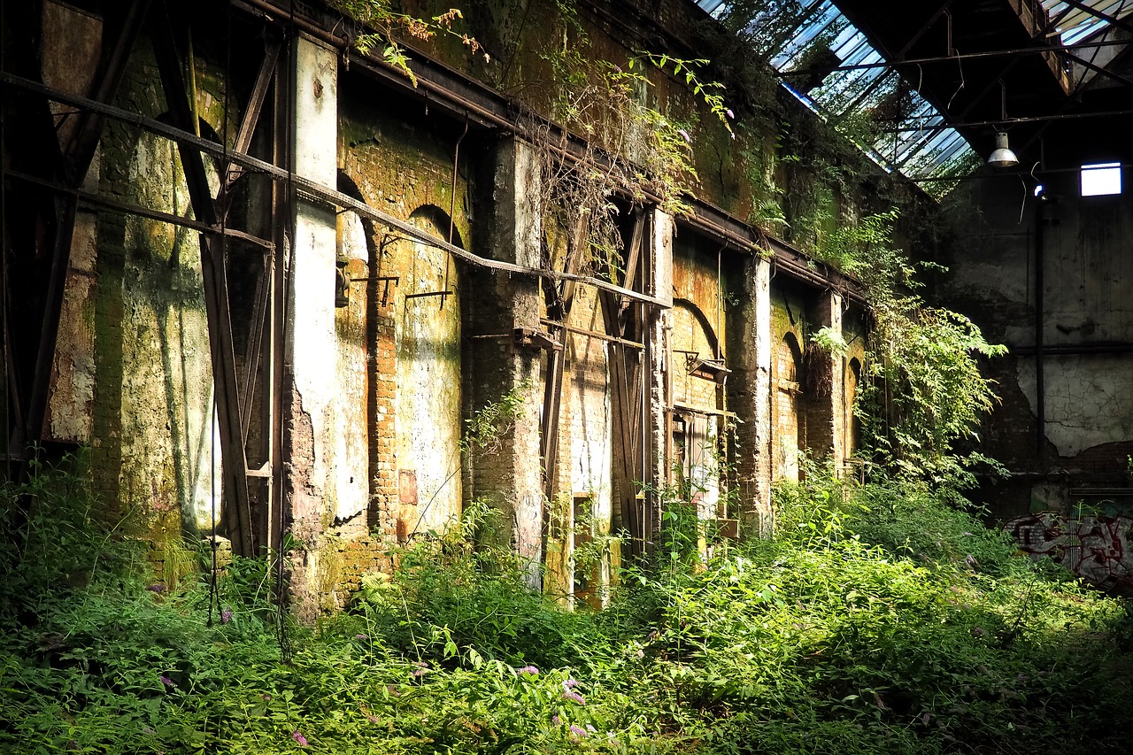 Lost place. Заброшенные номера. Забытые руины. Abandoned buildings in the Forest. Номера в ЗАБРОШКАХ.