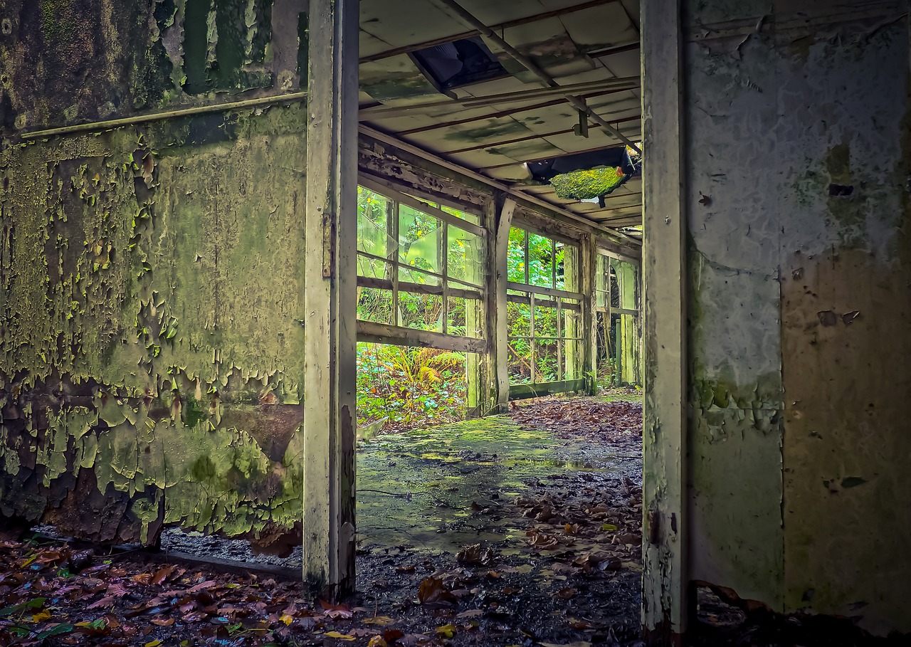 lost places leave decay free photo