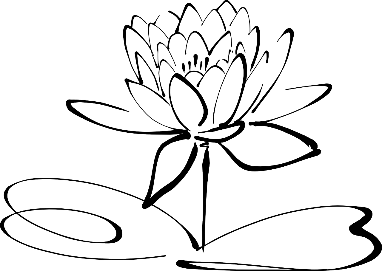 lotus flower line art free photo