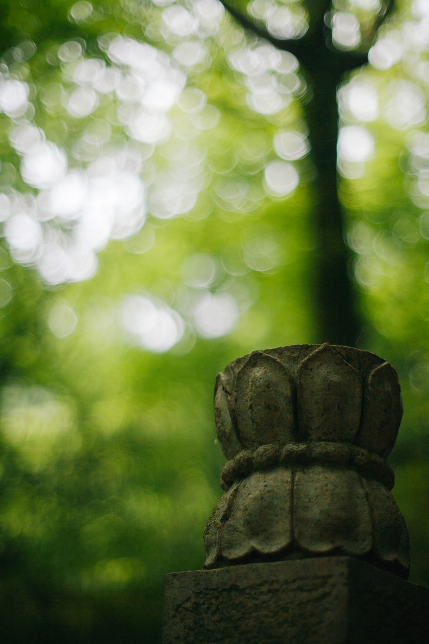 lotus forest stone carving free photo