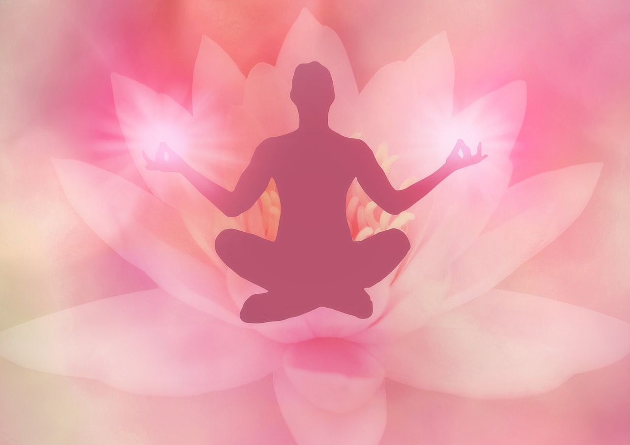 lotus  meditation  lotus position free photo