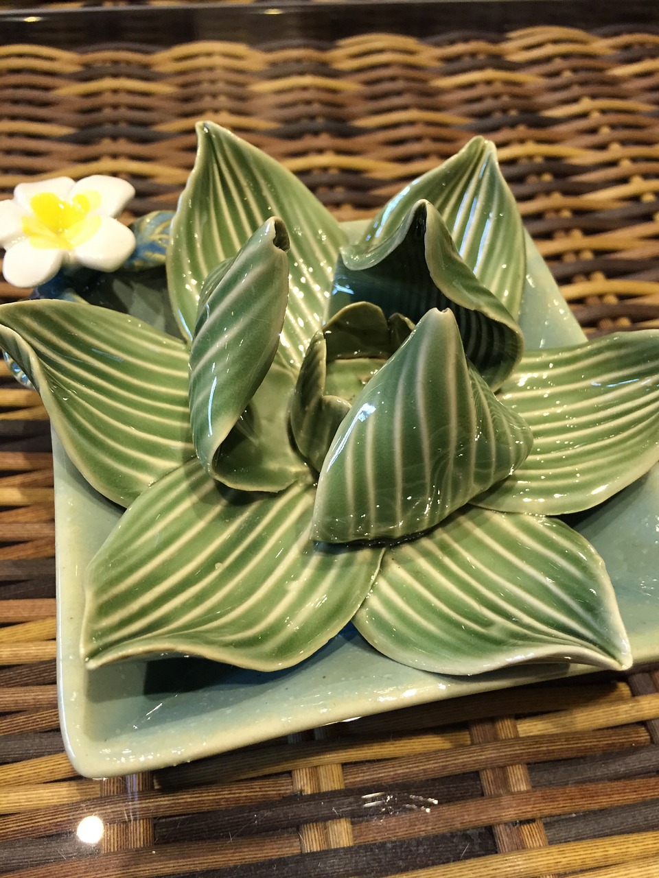 lotus ceramics coffee table free photo