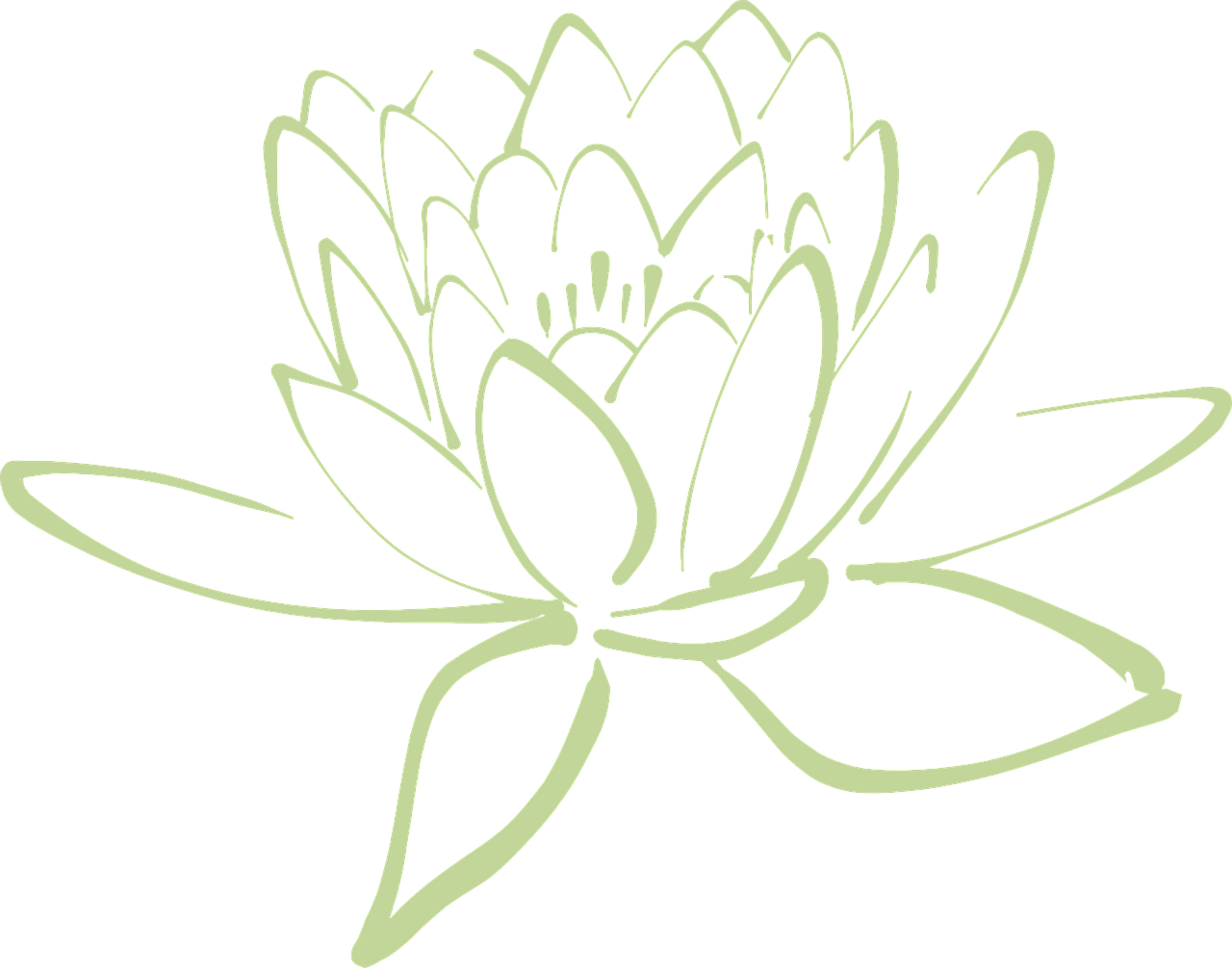 lotus blossom lotus flower free photo